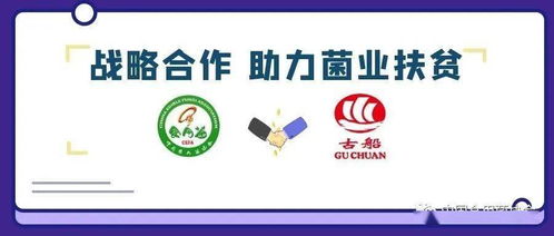 攜手古船米業(yè)，共筑貧困地區(qū)食用菌銷售與商品房代購(gòu)代銷新篇章